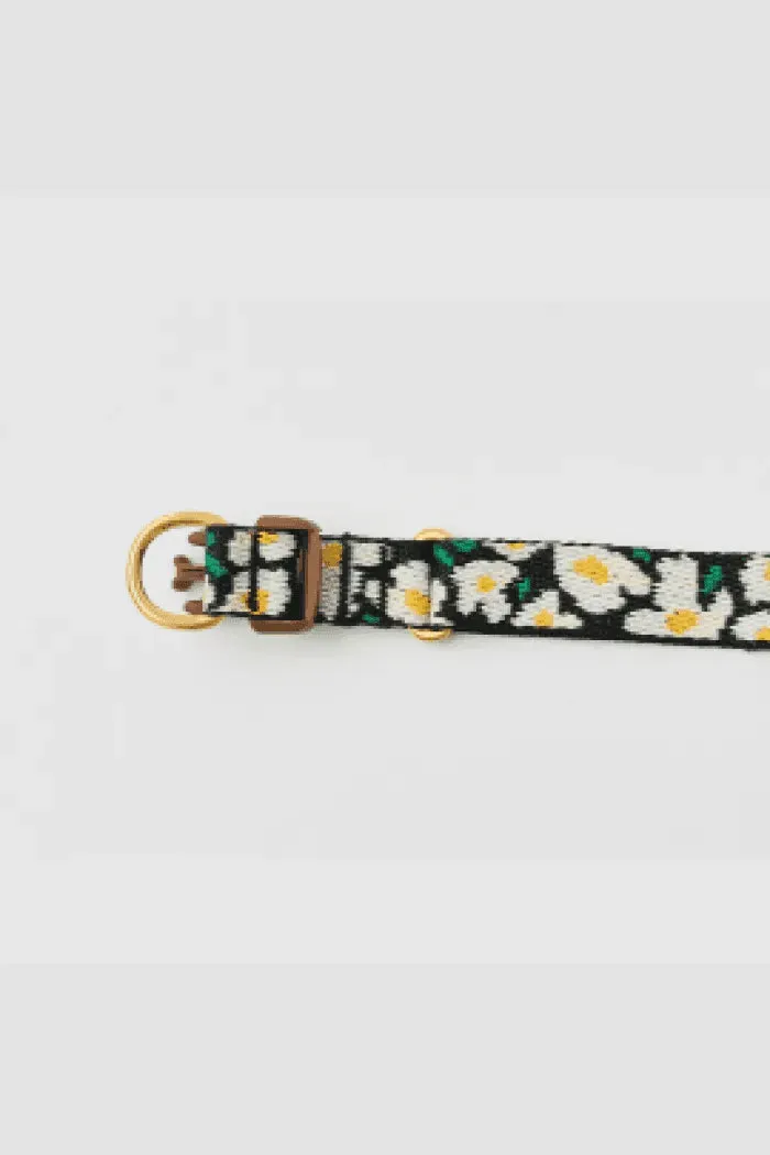 Gentle Dog Collar - Big Fish